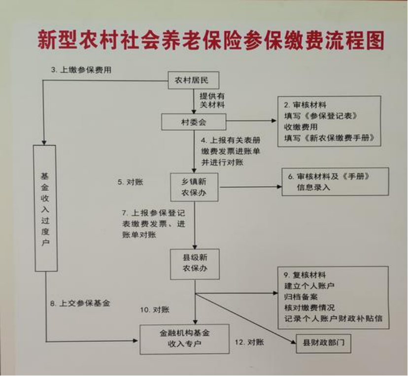 常德农村医保和社保有什么区别(农村医保跟社保的区别)